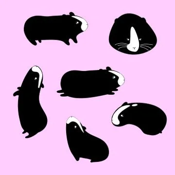 Set of guinea pigs Stock Illustration