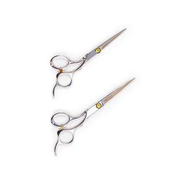 A set of hairdressing tools from two scissors on a white background. Stock Photos