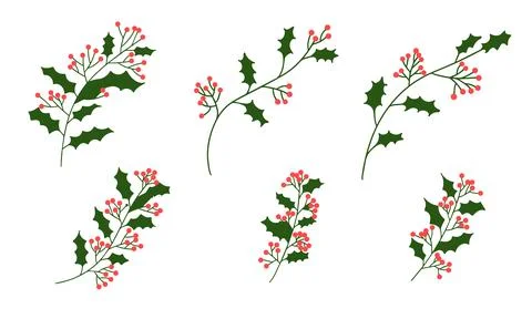Set of hand draw branch Stock Illustration
