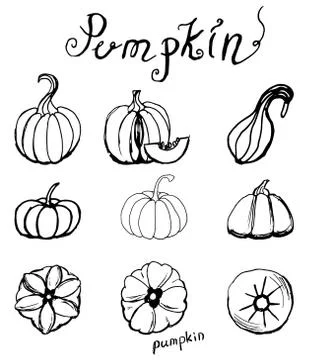Set of hand draw pumpkins. Stock Illustration