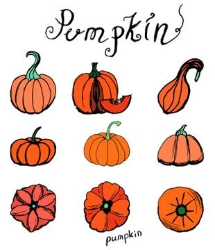 Set of hand draw pumpkins. Stock Illustration