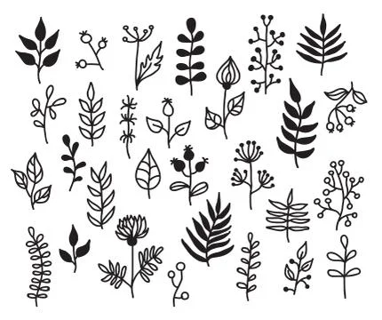 Set of hand-draw vector floral elements with leaves and flowers. Stock Illustration