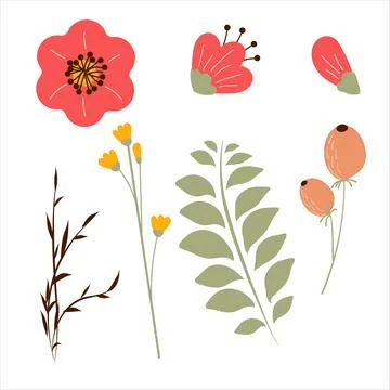 Set of hand drawing beautiful plants. Floral elements for your design flowers Stock Illustration