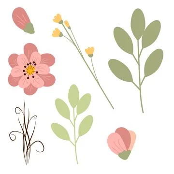 Set of hand drawing beautiful plants. Floral elements for your design flowers Illustrazione stock