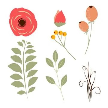 Set of hand drawing beautiful plants. Floral elements for your design flowers Stock Illustration