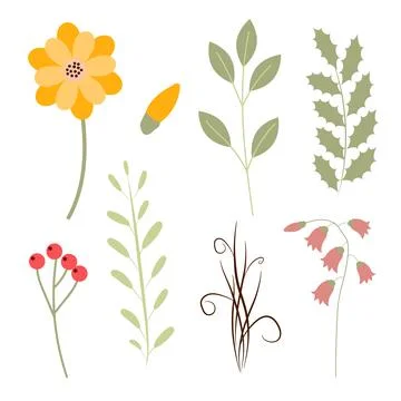 Set of hand drawing beautiful plants. Floral elements for your design flowers Stock Illustration