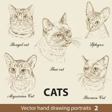 Set of hand drawing cats, part 2 イラスト素材