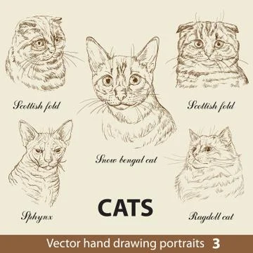 Set of hand drawing cats, part 3 イラスト素材