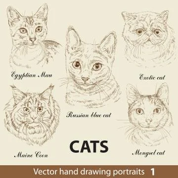 Set of hand drawing cats, part 1 イラスト素材