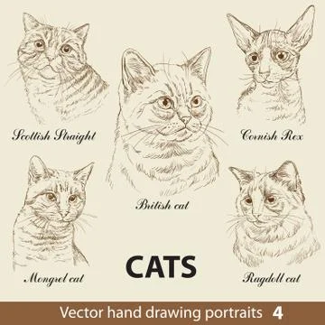 Set of hand drawing cats, part 4 イラスト素材