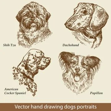 Set of hand drawing dogs Stock Illustration