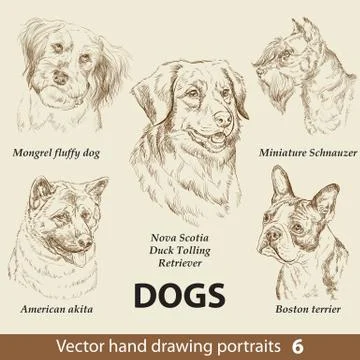 Set of hand drawing dogs, part 6 Stock Illustration