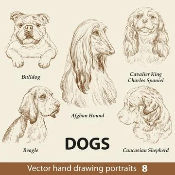 Set of hand drawing dogs part 8 vector illustration 스톡 일러스트