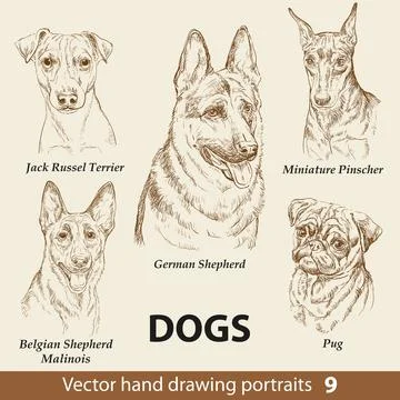 Set of hand drawing dogs part 9 vector illustration Illustrazione stock