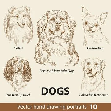Set of hand drawing dogs part 10 vector illustration Stock Illustration