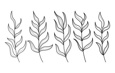 Set of hand drawn abstract doodle tree branches collection Stock Illustration