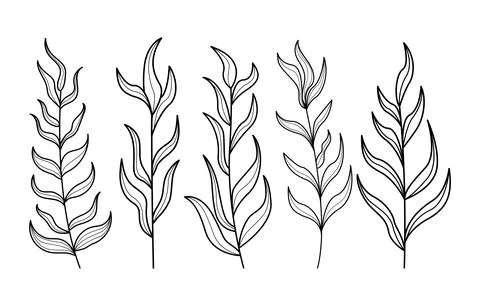 Set of hand drawn abstract doodle tree branches collection Stock Illustration