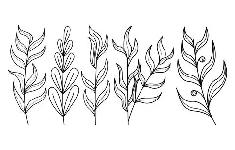 Set of hand drawn abstract doodle tree branches collection Stock Illustration