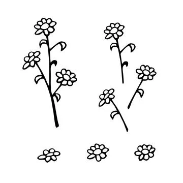 Set of hand drawn abstract Flowers on branch. Black and white stylized botani Stock Illustration