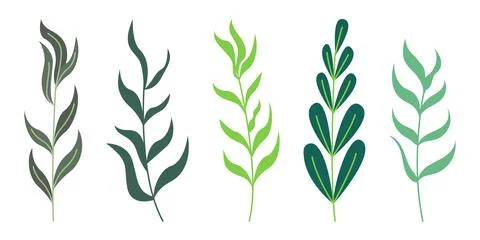 Set of hand drawn abstract tree branches with leaves illustration Stock Illustration