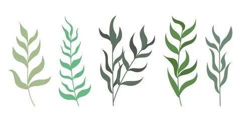 Set of hand drawn abstract tree branches with leaves illustration Stock Illustration