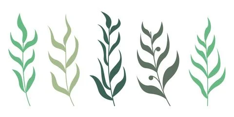 Set of hand drawn abstract tree branches with leaves illustration Stock Illustration