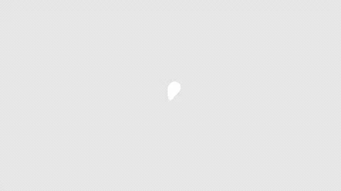 Set of hand drawn animated doodle forms: leaf, drop, circle . Video clip with al Stock Footage 308070853