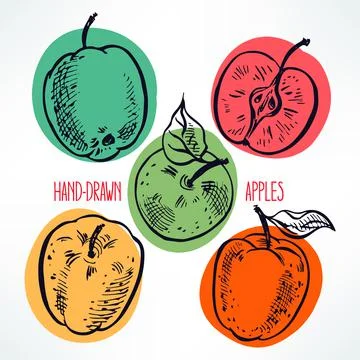 Set of hand-drawn apples Stock Illustration