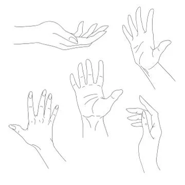 Set of hand drawn arms, vector illustration Stock Illustration