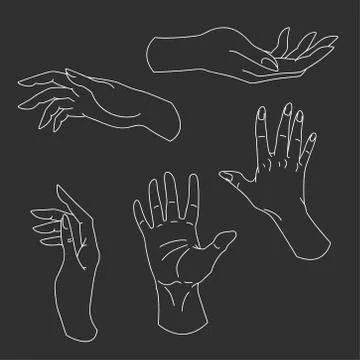 Set of hand drawn arms, vector illustration Stock Illustration