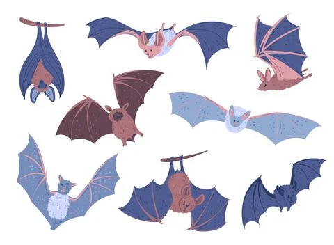 Set of hand drawn bats, cartoon flat vector illustration isolated on white Stock Illustration