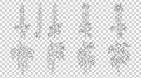 Set of hand drawn botanical leaf sketches isolated on white background Stock Illustration