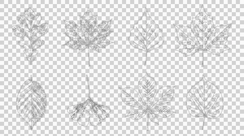 Set of hand drawn botanical leaf sketches isolated on white background Stock Illustration