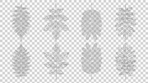 Set of hand drawn botanical leaf illustrations isolated on white background Stock Illustration