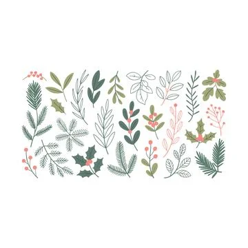 Set of hand drawn botanical with pine branches, holly leaves and berries fo.. Stock Illustration