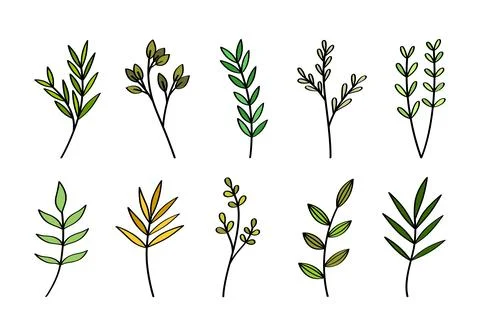 A set of hand drawn branches and leaves of bushes and trees. Stock Illustration