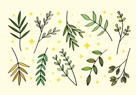 A set of hand drawn branches and leaves of bushes and trees. Stock Illustration