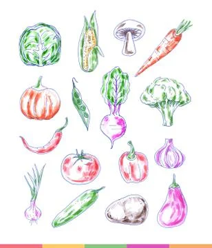 Set of hand drawn bright vegetables Stock Illustration