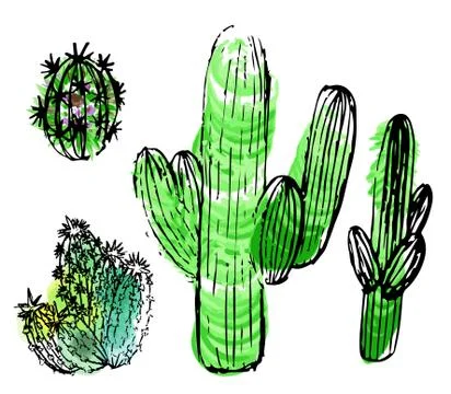 Set of hand-drawn cactuses Stock Illustration