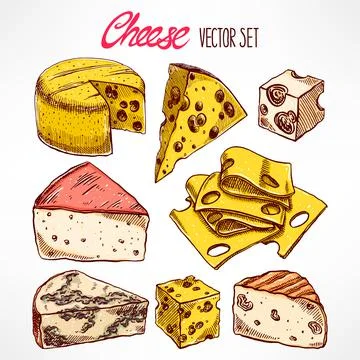 Set with hand-drawn cheeses Stock Illustration