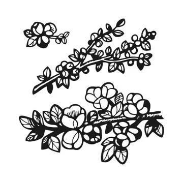 A set of hand-drawn cherry blossom branches Stock Illustration