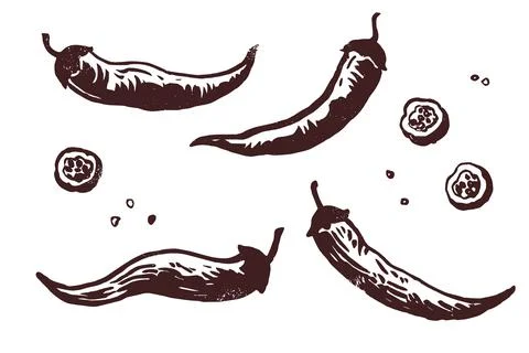 Set of hand drawn chili pepper with various elements. Vector illustration i.. Illustration