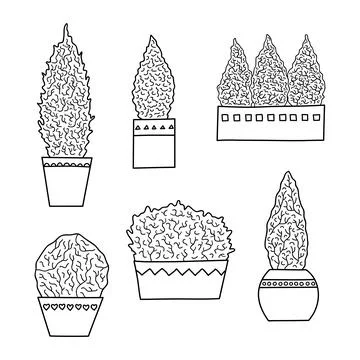 Set of hand drawn coniferous trees in pots. Stock Illustration