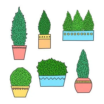 Set of hand drawn coniferous trees in pots. Stock Illustration