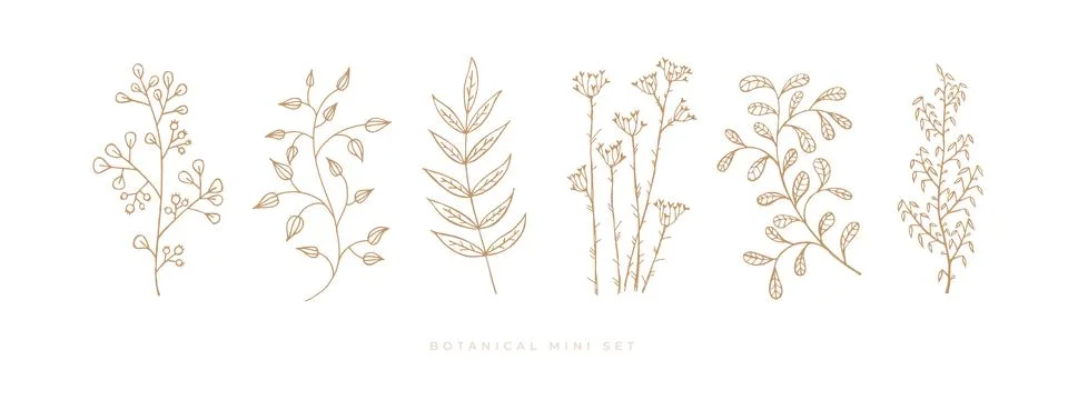 Set hand drawn curly grass and flowers on white isolated background. Stock Illustration