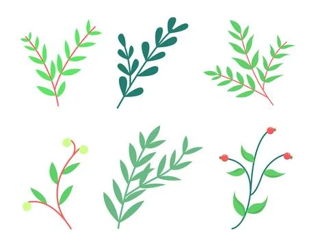 Set of hand drawn cute green plant stem, floral branches, twigs elements Stock Illustration