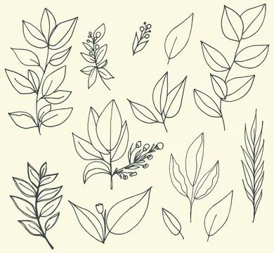 Set of hand drawn design elements flowers and greenery vector collection Stock Illustration