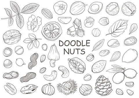 Set of hand drawn doodle nuts Stock Illustration