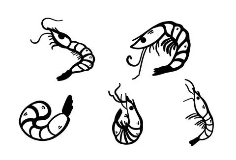 Set of hand drawn doodle shrimp illustrations isolated on white background... Stock Illustration