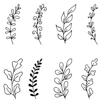 Set of hand drawn doodle tree branches with leaves on white background. Floral Stock Illustration